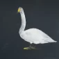 patogi-padetis
