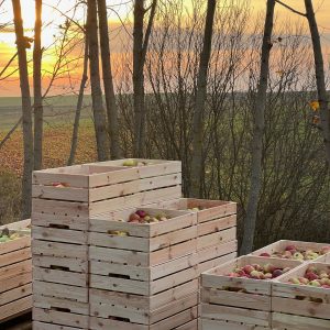 Obuolių Dėžė | Apple Crate