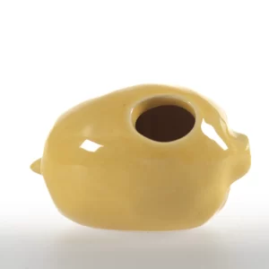 Citrina