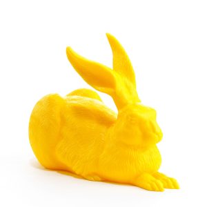 Diurerio Kiškis / Dürer-Hare