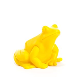 Princas Varlė / Frog King