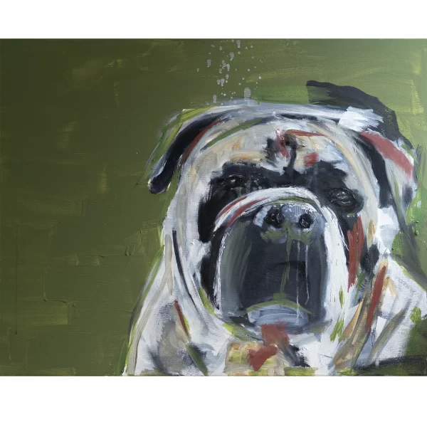 Alonso žaliame sapne