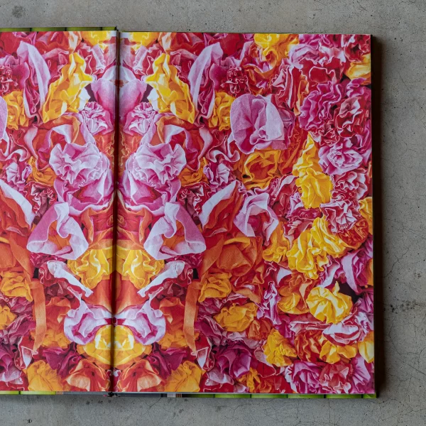 KNYGA | ALBUMAS THE GARDEN OF RENOVA 2014 metais Toronto „Nuit Blanche“ šventės metu George’o Browno koledžo dizaino mokykla surengė vieną nuostabiausių...