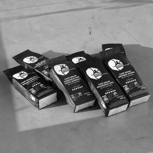 Ekologiška kava Etiopijos Sidamo Moka | Organic and Fair Trade Moka Coffee Ethiopia Sidamo Les Torréfacteurs Normands kavos pupelės — ekologiškos skrudintos kavos pupelės iš arti