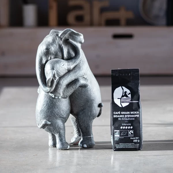 Ekologiška kava Etiopijos Sidamo Moka | Organic and Fair Trade Moka Coffee Ethiopia Sidamo Les Torréfacteurs Normands Etiopija Sidamo Moka kavos pakuotė — ekologiška ir sąžiningos prekybos kava