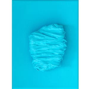 Ignas Kazakevičius | Čiabutis