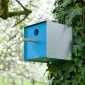 Inkilas Twitter | Twitter Birdhouse