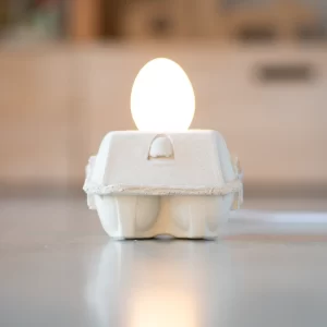 Kiaušinių dėžutės formos šviestuvas betono pagrindu, o lemputė iš tikro kiaušinio lukšto.