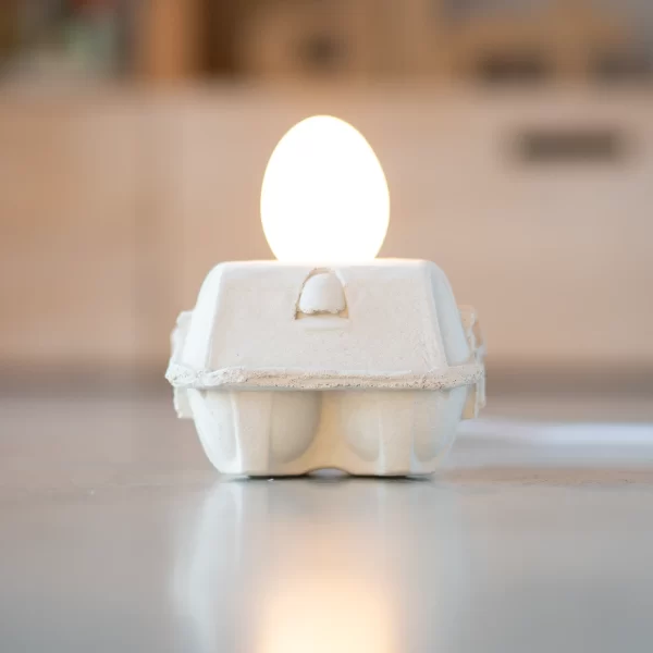 Kiaušinių dėžutės formos šviestuvas betono pagrindu, o lemputė iš tikro kiaušinio lukšto.