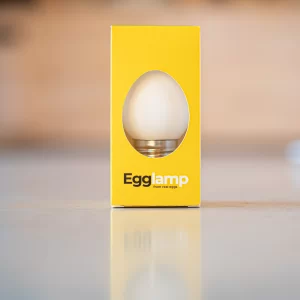 Kiaušinių dėžutės formos šviestuvas betono pagrindu, o lemputė iš tikro kiaušinio lukšto.