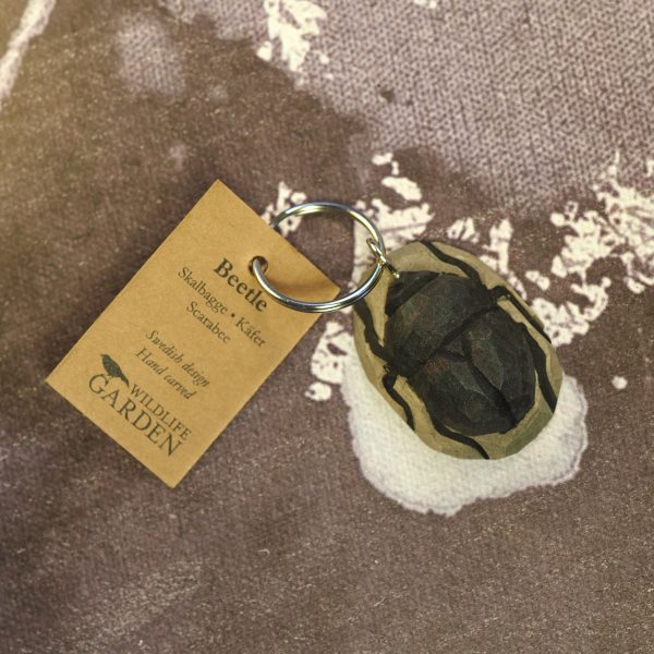 Keyring Beetle