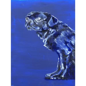 Ultramarine Dog