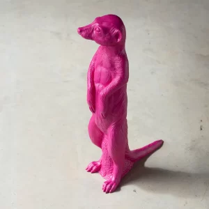 Surikata - Magenta | Meerkat - Magenta