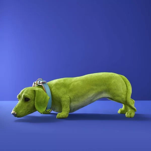 Dachshund Decorative Figure with Collar, Green