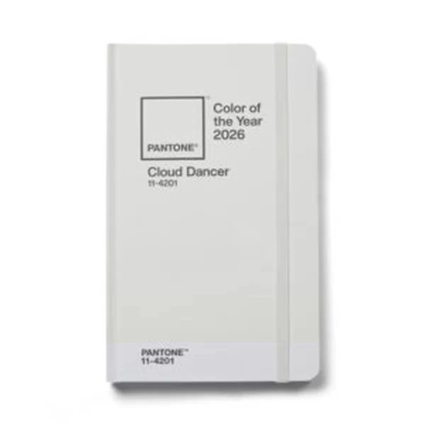 2026 metų spalva – PANTONE 11-4201 Cloud Dancer.