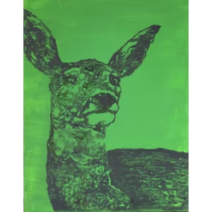 About Japanese Deer