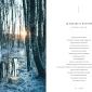 Maisto gaminimo vadovas - foto meditacija pagal šiaurietiškos gamtos ritmą, padalintas į 72 mikrosezonus.