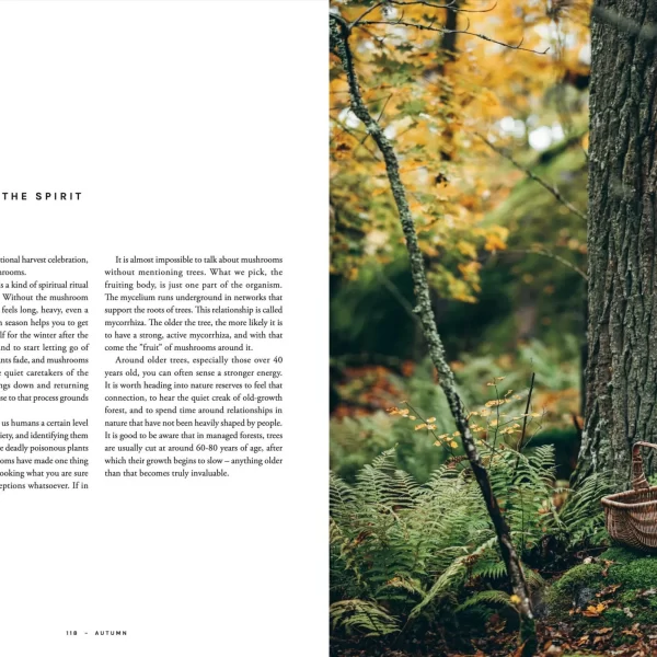 Knyga - šiaurės receptai 72 mikrosezonams | Chef's Wild Nordic - Recipes for 72 Micro-Seasons Maisto gaminimo vadovas - foto meditacija pagal šiaurietiškos gamtos ritmą, padalintas į 72 mikrosezonus.