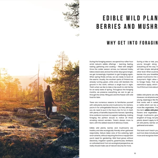 Knyga – Receptai iš laukinių uogų, grybų ir žolelių | Food in the Wild – Recipes for Foraged Berries, Mushrooms and Herbs Sveiki atvykę į gamtos kelionę, kur patiekalai yra laukiniai.