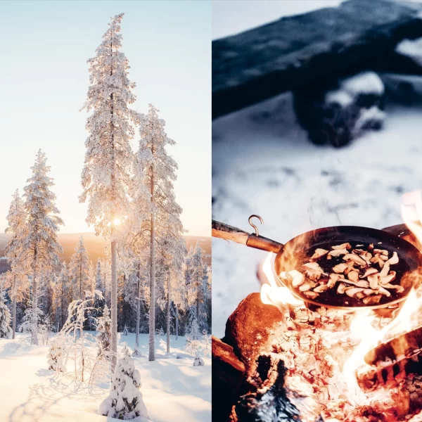 Knyga – Receptai iš laukinių uogų, grybų ir žolelių | Food in the Wild – Recipes for Foraged Berries, Mushrooms and Herbs Sveiki atvykę į gamtos kelionę, kur patiekalai yra laukiniai.