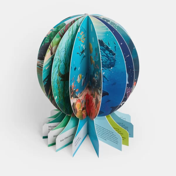 Knyga- gaublys vaikams | Our Underwater World: A First Dive into Oceans, Lakes, and Rivers Knyga nominiota — Oprah’s Favorite Things 2024.