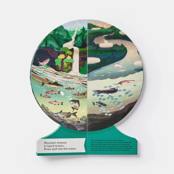 Knyga- gaublys vaikams | Our Underwater World: A First Dive into Oceans, Lakes, and Rivers Knyga nominiota — Oprah’s Favorite Things 2024.