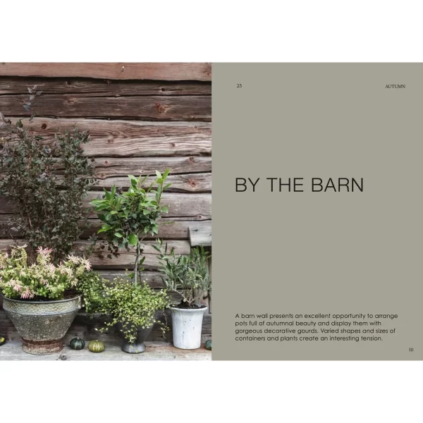 Vazoninio sodininkavimo knyga, anglų k. | The Potted Garden - All Year Round Augalų kompozicijos vazonuose nuspalvina aplinką dar prieš įsibėgėjant pavasariui.