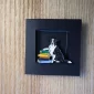 border-collie-with-books