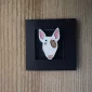 bull-terrier