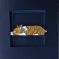 corgi