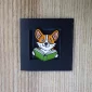 corgi-reading-book