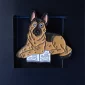 german-shepherd-with-a-book