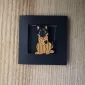 german-shepherd-with-glasses