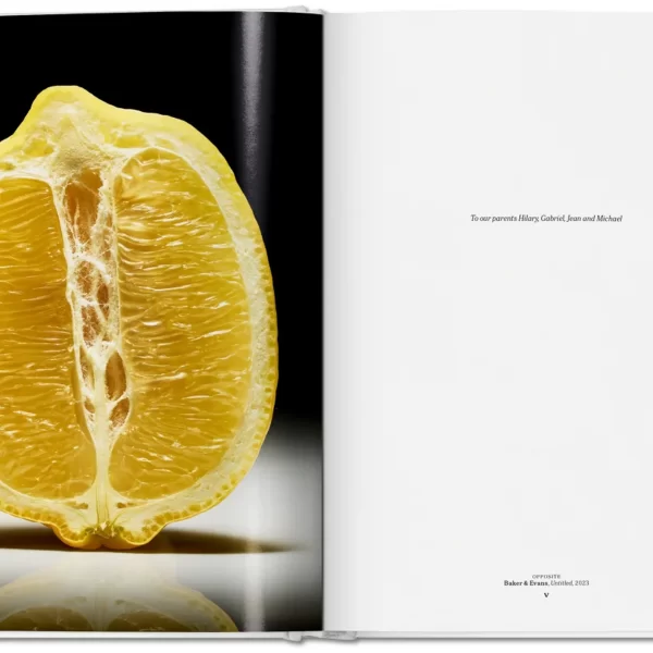 Meno, Istorijų ir receptų knyga | The Gourmand’s Lemon. A Collection of Stories and Recipes Kai gyvenimas dovanoja citrinas.