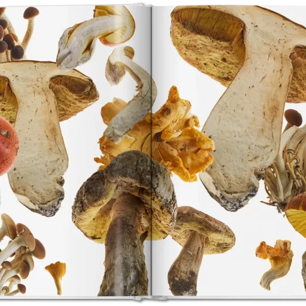 The Gourmand’s Mushroom. Istorijų ir receptų rinkinys | The Gourmand’s Mushroom. A Collection of Stories and Recipes Grybų fantazija.