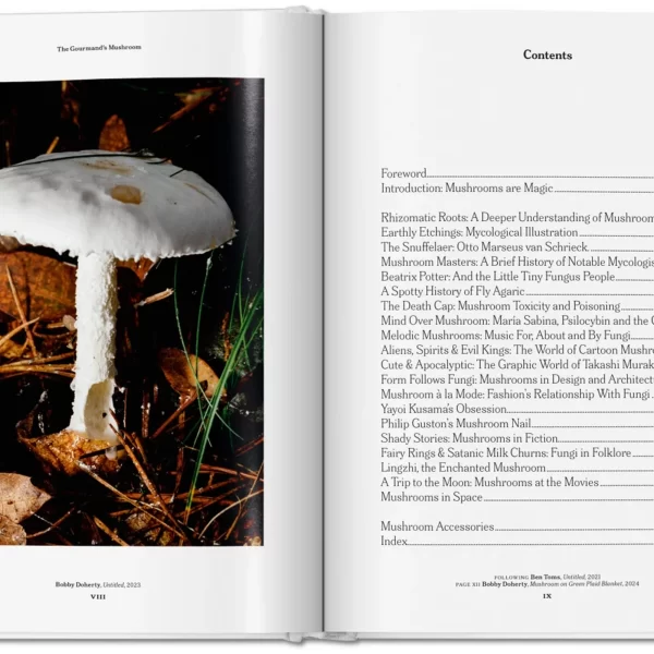 The Gourmand’s Mushroom. Istorijų ir receptų rinkinys | The Gourmand’s Mushroom. A Collection of Stories and Recipes Grybų fantazija.