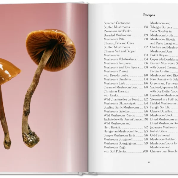 The Gourmand’s Mushroom. Istorijų ir receptų rinkinys | The Gourmand’s Mushroom. A Collection of Stories and Recipes Grybų fantazija.
