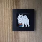 samoyed-with-books