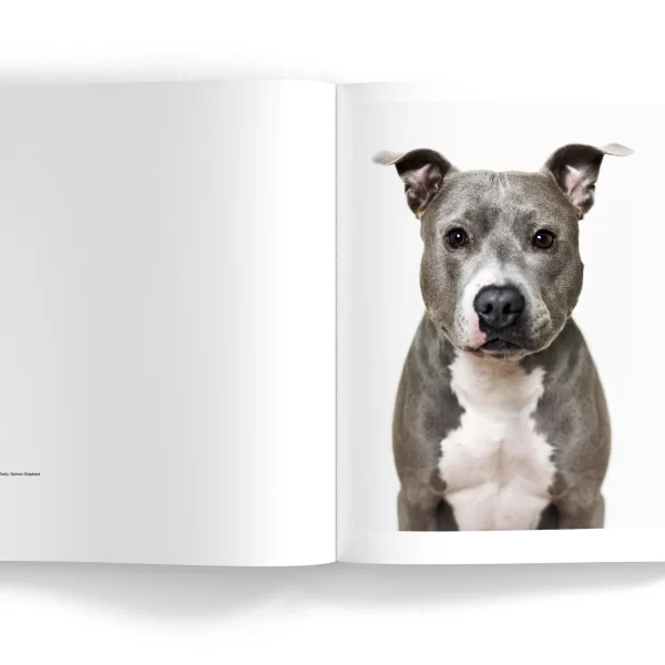 SIT – fotografijų knyga, Matt Karwen | SIT - Photo Book by Matt Karwen Su dideliu kantrumu ir įsijautimu fotografas Matt Karwen sukūrė iki tol nematytus, ekspresyvius šunų portretus,...