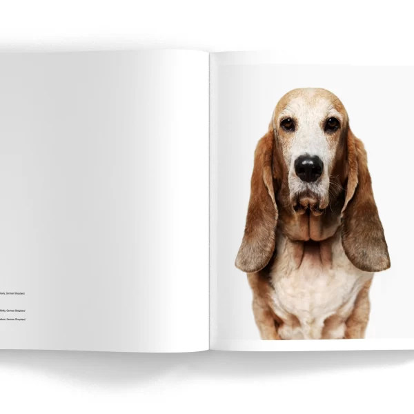 SIT – fotografijų knyga, Matt Karwen | SIT - Photo Book by Matt Karwen Su dideliu kantrumu ir įsijautimu fotografas Matt Karwen sukūrė iki tol nematytus, ekspresyvius šunų portretus,...