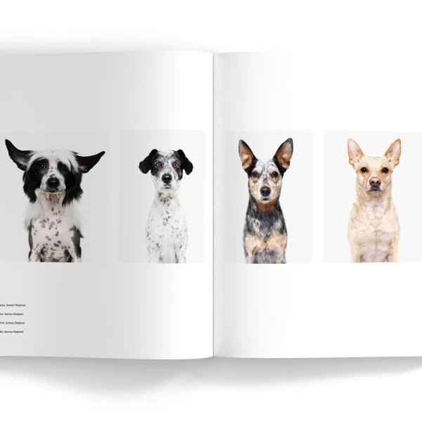 SIT – fotografijų knyga, Matt Karwen | SIT - Photo Book by Matt Karwen Su dideliu kantrumu ir įsijautimu fotografas Matt Karwen sukūrė iki tol nematytus, ekspresyvius šunų portretus,...