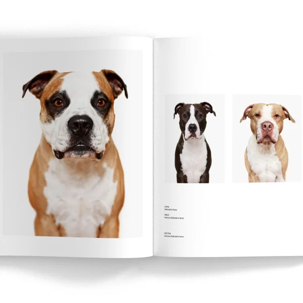 SIT – fotografijų knyga, Matt Karwen | SIT - Photo Book by Matt Karwen Su dideliu kantrumu ir įsijautimu fotografas Matt Karwen sukūrė iki tol nematytus, ekspresyvius šunų portretus,...