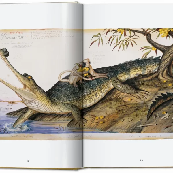 Meno knyga | Walton Ford. Pancha Tantra. 40th Ed. Atnaujintas Walton Ford laukinės gamtos vaizdinių leidinys.