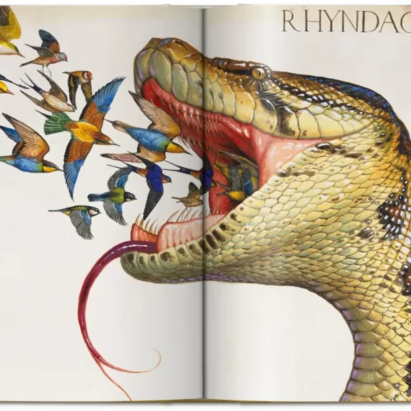 Meno knyga | Walton Ford. Pancha Tantra. 40th Ed. Atnaujintas Walton Ford laukinės gamtos vaizdinių leidinys.